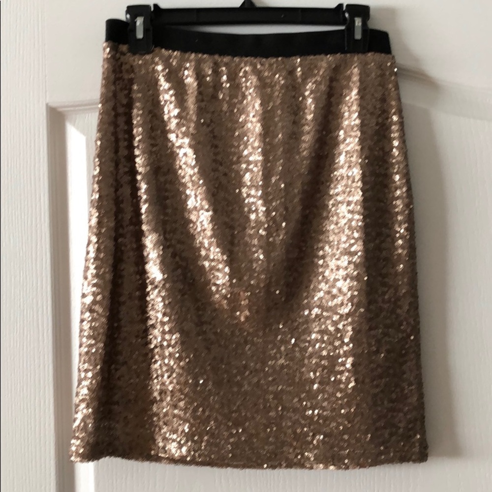 Splendid Sequin Skirt